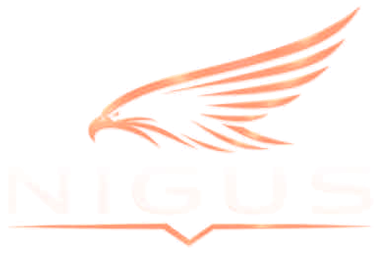 NIGUS International