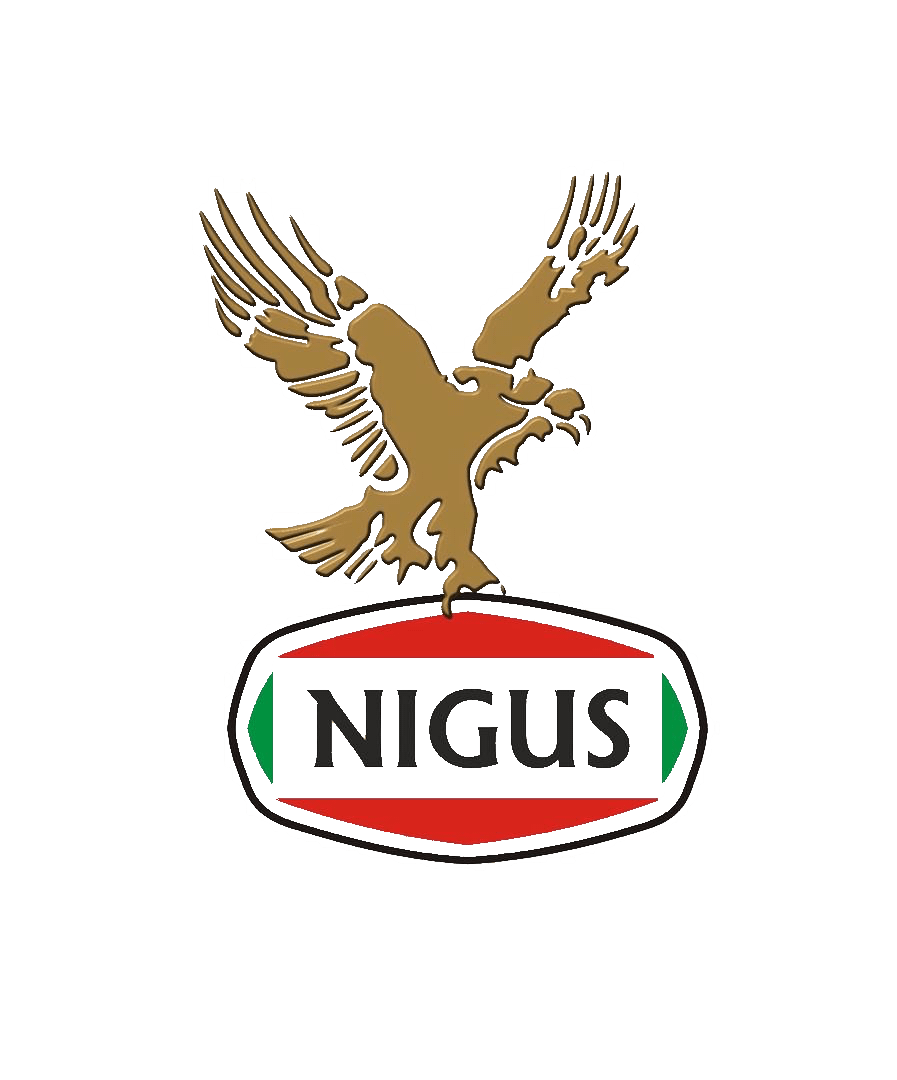 NIGUS International